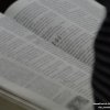 dsc03903