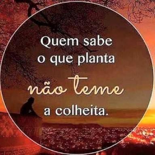 PLANTANDO BOAS SEMENTES